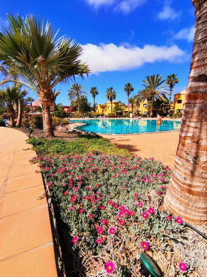 Appartamento Spagnolo Oasis Tamarindo Corralejo Exterior photo