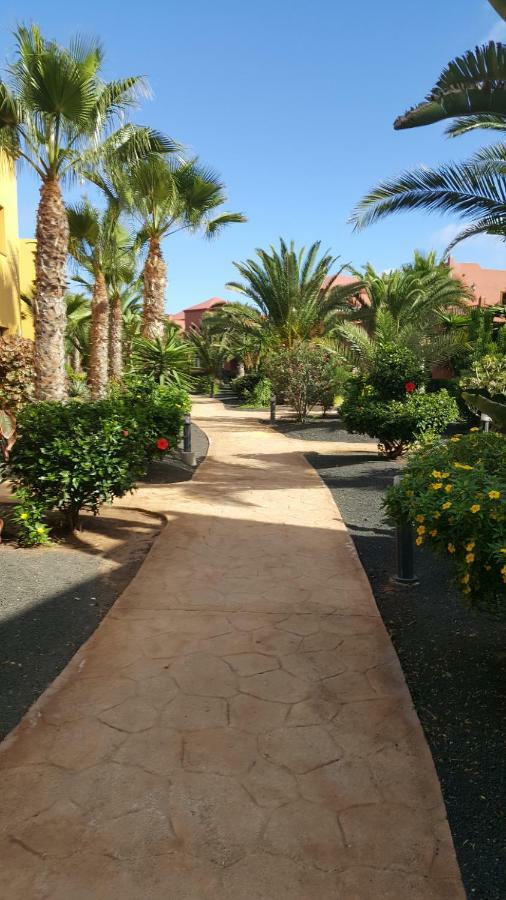 Appartamento Spagnolo Oasis Tamarindo Corralejo Exterior photo