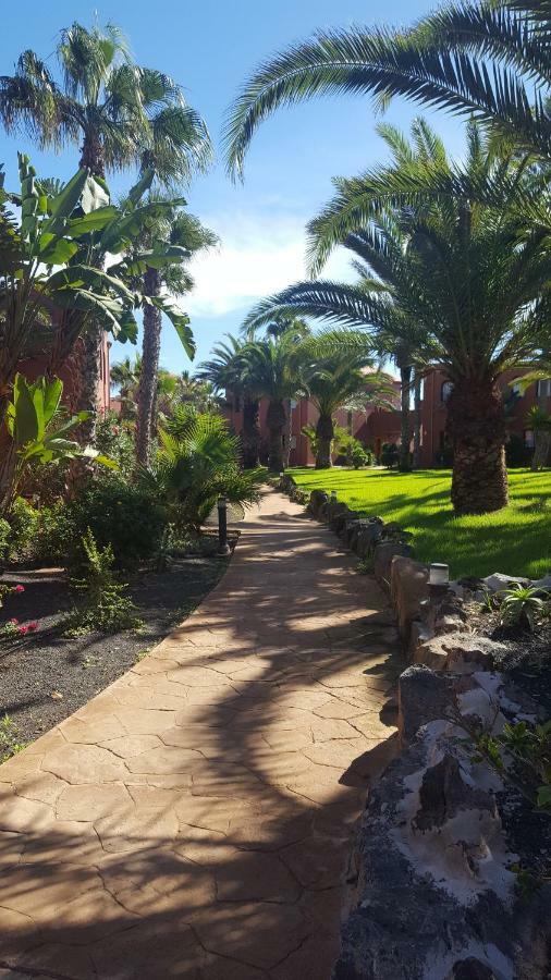 Appartamento Spagnolo Oasis Tamarindo Corralejo Exterior photo